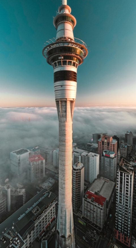 New Zealand Visa Consultant in India